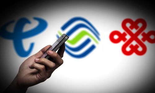 运营商开放14天内到访地查询服务，用户可通过多种渠道便捷操作